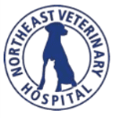 northeast veterinary hospital