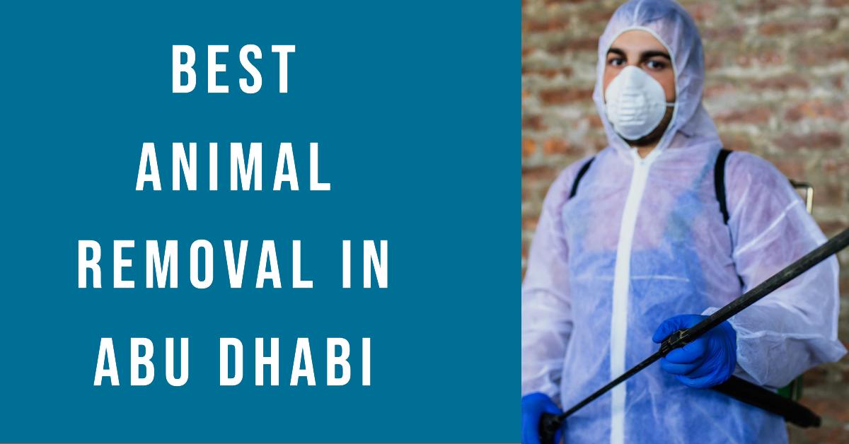 Best Animal Removal In Abu Dhabi